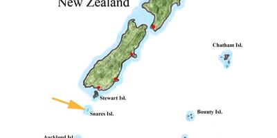 Karta över nya zeeland och de omgivande öarna